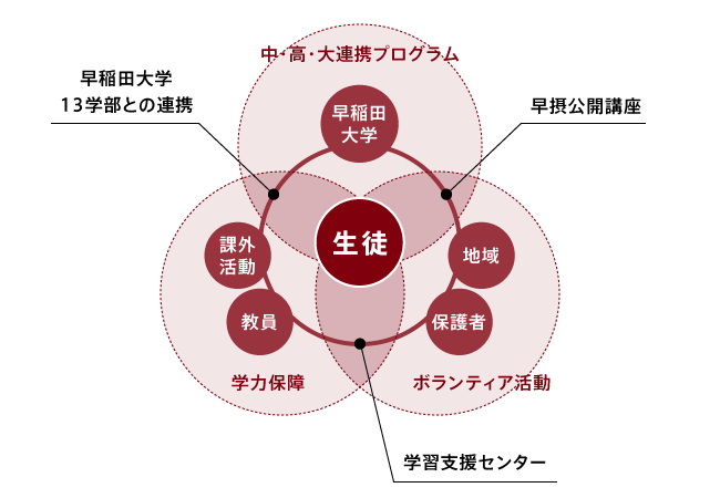 早稲田大学系属校の教育